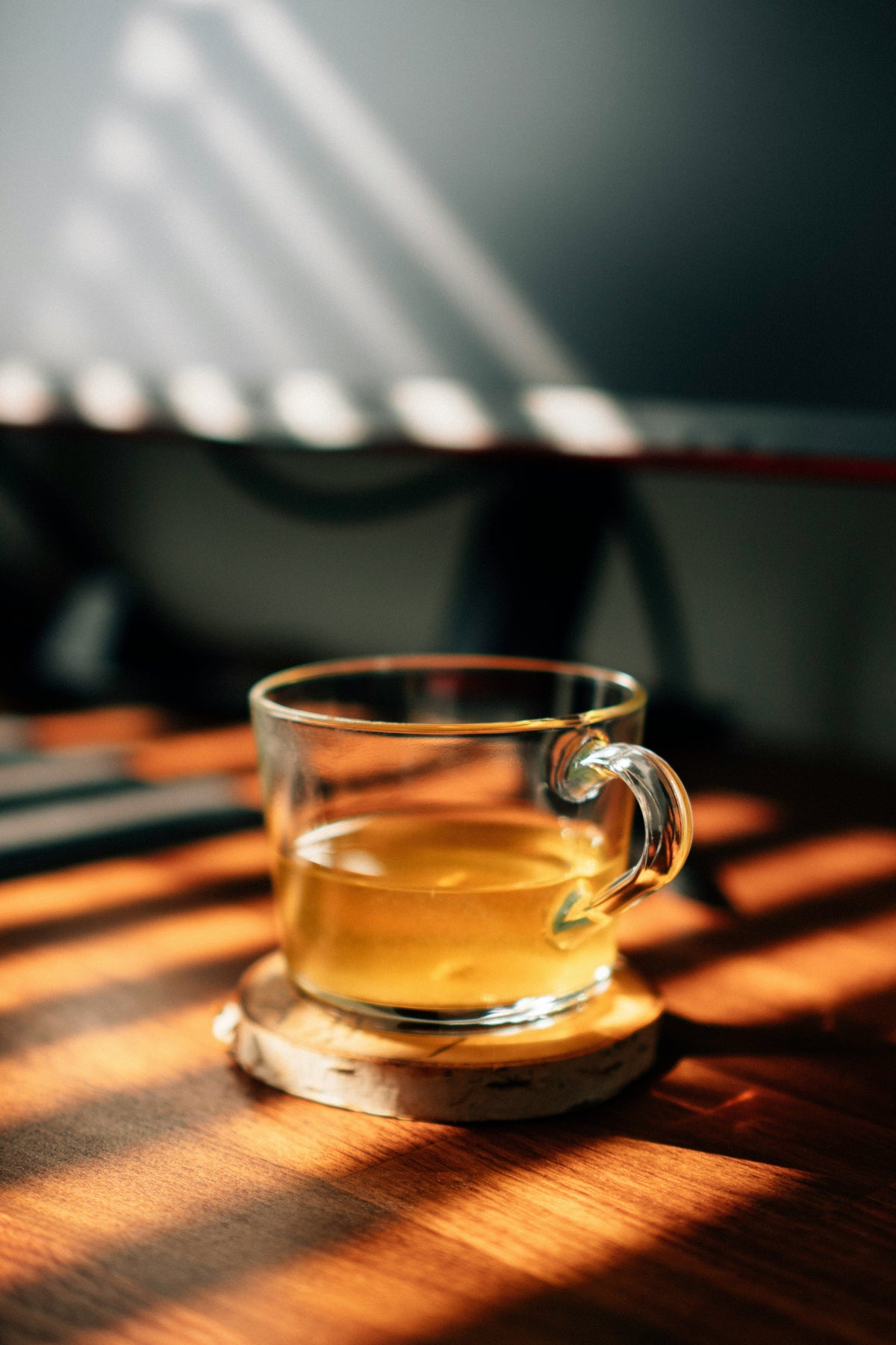 A warm cup of herbal tea surrounded by fresh peppermint, ginger, and fennel — natural remedies for bloating